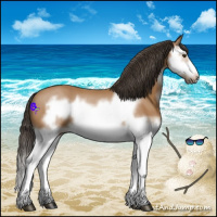 Horse Color:Bay Splash Frame 