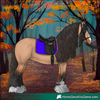 Horse Color:Bay Dun