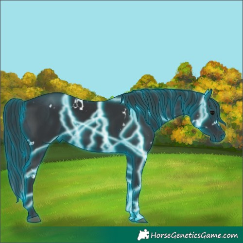 Horse Color:Thunderstruck White Spotted Black 