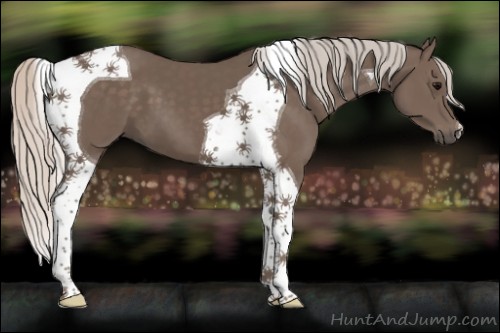 Horse Color:Silver Black Tobiano 