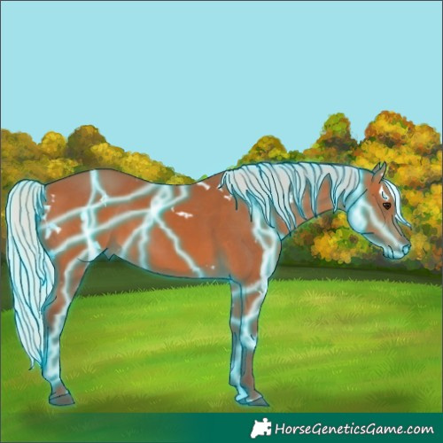 Horse Color:Thunderstruck White Spotted Silver Bay 