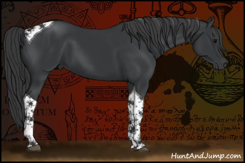 Horse Color:Black Tobiano 