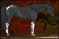 Horse Color:Black Tobiano 