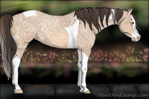 Horse Color:Amber Champagne Ice Sabino Splash Tobiano 