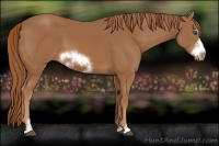 Horse Color:Chestnut Sabino Frame