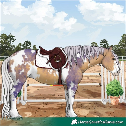 Horse Color:Watercolor White Spotted Silver Buckskin Sabino 