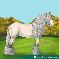 Horse Color:Silver Buckskin Dun Splash 