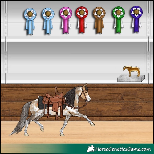 Horse Color:White Spotted Buckskin Dun Sabino 