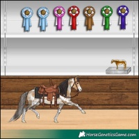 Horse Color:White Spotted Buckskin Dun Sabino 