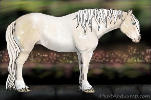 Horse Color:White Spotted Cremello Sabino