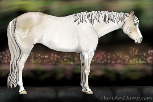 Horse Color:White Spotted Chocolate Palomino Pearl Sabino 