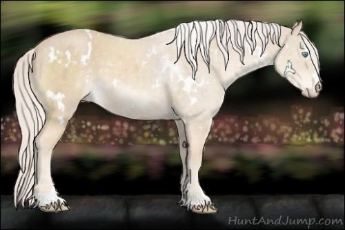 Horse Color:White Spotted Cremello Sabino 