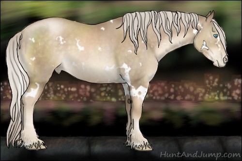 Horse Color:White Spotted Chocolate Palomino Pearl 