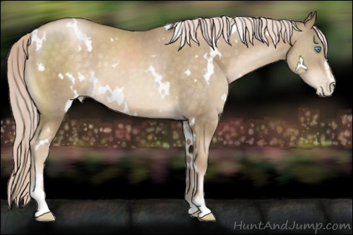 Horse Color:White Spotted Chocolate Palomino Pearl Sabino 