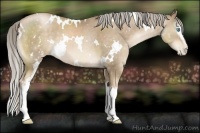 Horse Color:White Spotted Chocolate Palomino Pearl 