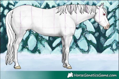 Horse Color:Plaid  Liver Chestnut Chinchilla Sabino Splash 