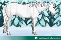 Horse Color:Plaid  Liver Chestnut Chinchilla Sabino Splash 