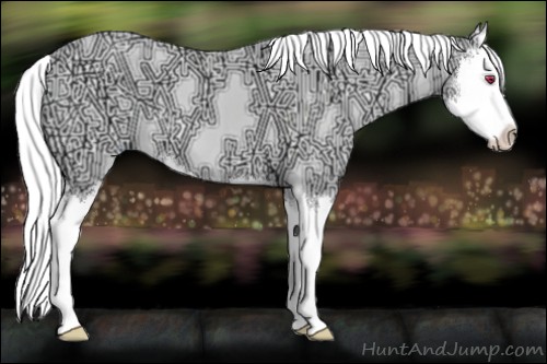 Horse Color:Liver Chestnut Chinchilla Ice Sabino Splash 