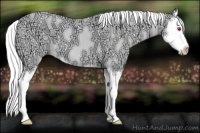 Horse Color:Liver Chestnut Chinchilla Ice Sabino Splash 