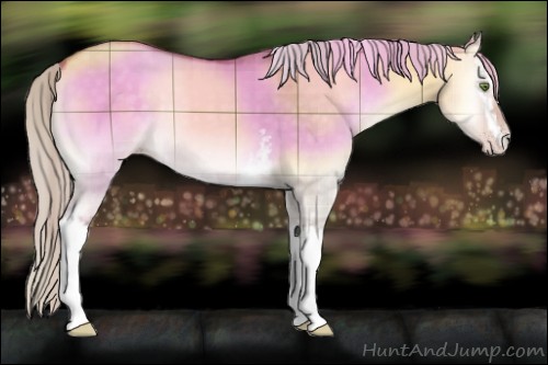 Horse Color:Plaid  White Spotted Silver Sable Cream Champagne Onyx Sabino 