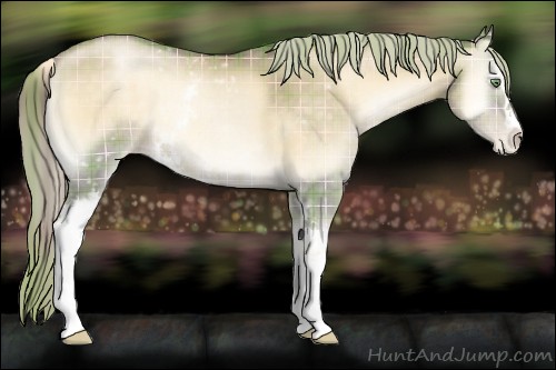 Horse Color:Plaid White Spotted Chocolate Palomino Pearl Onyx