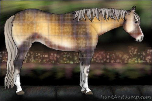 Horse Color:Plaid  White Spotted Silver Buckskin Onyx Sabino 