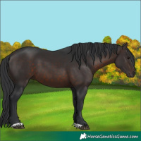 Horse Color:Brown 