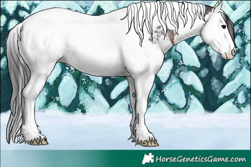 Horse Color:Brown Sabino Splash Tobiano 