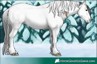 Horse Color:Brown Sabino Splash Tobiano 