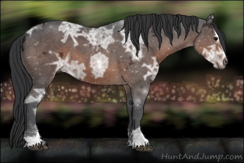 Horse Color:Brown Ice Sabino 