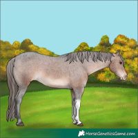 Horse Color:Brown Tobiano Varnish 