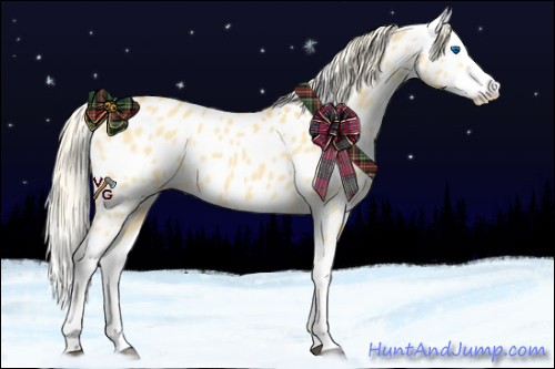 Horse Color:Palomino Dun Splash Appaloosa 