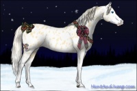 Horse Color:Palomino Dun Splash Appaloosa 