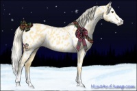 Horse Color:Palomino Dun Splash Near Leopard 