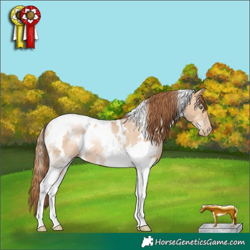 Horse Color:White Spotted Brown Pearl Dun Tobiano Rabicano