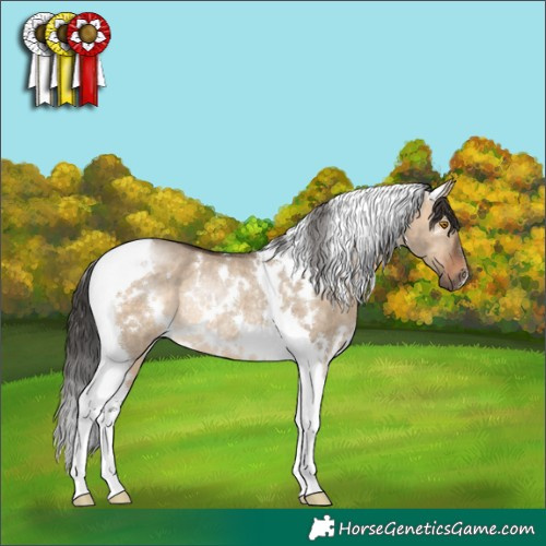 Horse Color:White Spotted Brown Dun Tobiano Rabicano