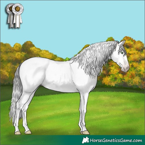 Horse Color:Gray Amber Champagne Dun Sabino Splash Tobiano 