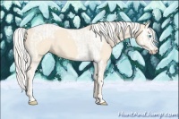 Horse Color:Cremello Splash  and Cremello Splash Tobiano 