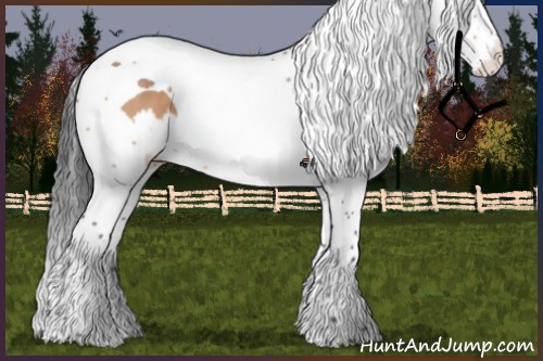 Horse Color:Brown Dun Splash Tobiano