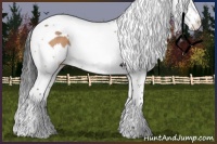 Horse Color:Brown Dun Splash Tobiano 