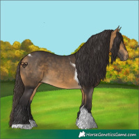 Horse Color:Buckskin Tobiano 