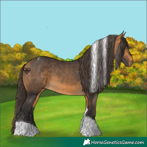 Horse Color:Buckskin Tobiano