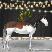 Horse Color:Bay Splash 