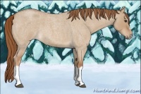 Horse Color:Red Dun Roan Splash Frame Rabicano 