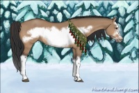 Horse Color:Bay Dun Splash Frame 