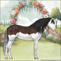 Horse Color:Brown Splash 