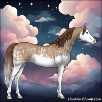 Horse Color:Red Dun Splash  and Red Dun Splash 