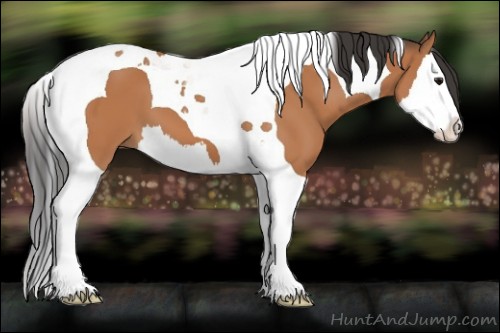 Horse Color:Unknown 