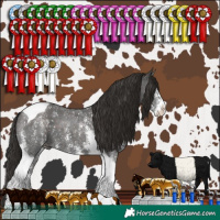 Horse Color:Liver Chestnut Sabino Tobiano 