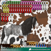 Horse Color:Liver Chestnut Sabino Tobiano 